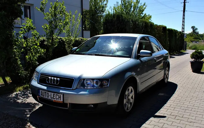 audi jedwabne Audi A4 cena 12900 przebieg: 151427, rok produkcji 2003 z Jedwabne